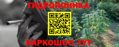 a pvp Кимры