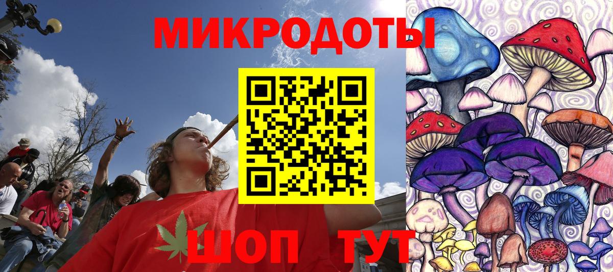 Псилоцибиновые грибы Psilocybine cubensis Нефтекамск