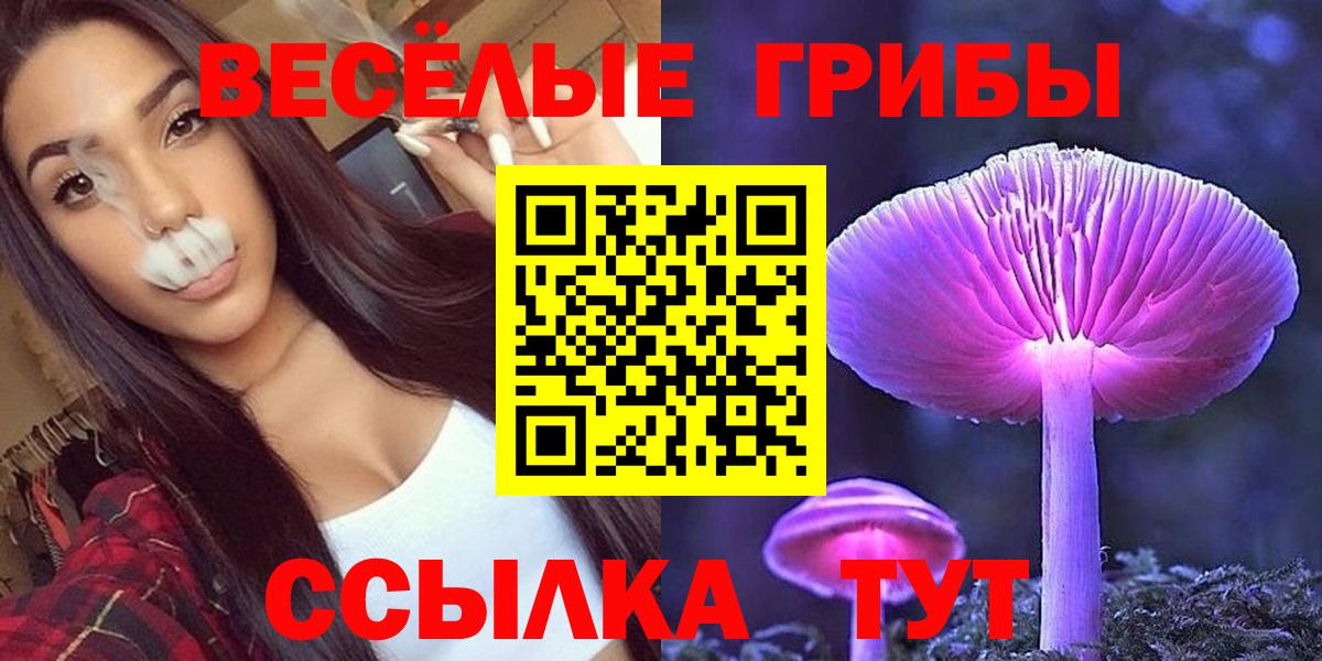 Нефтекамск  Галлюциногенные грибы Psilocybine cubensis  Вход с VPN 